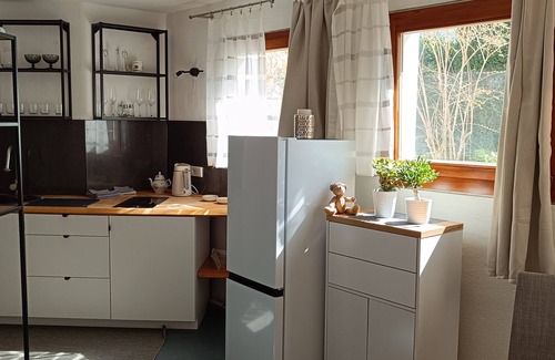 Nagold Apartment | Apartment in Nagold with shower and kitchen