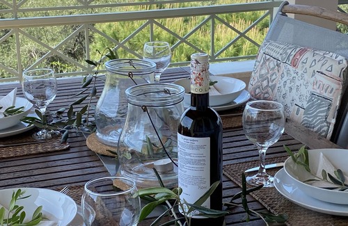 Acharavi Apartment | Apartment in the olive grove with unforgettable views