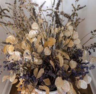 Krsko Apartment | Apartment Ivana Krško