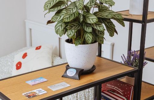 Kurzeme Apartment | Apartment Katrina