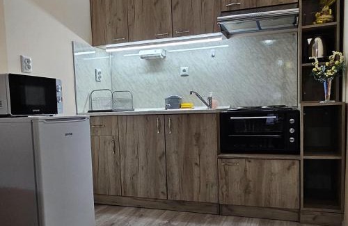 Velingrad Apartment | Apartment Krasi