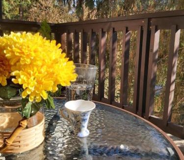 Velingrad Apartment | Apartment Krasi