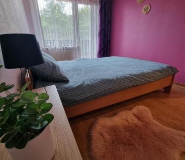 Kolka Apartment | Apartment Kurši