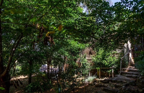 Scansano Apartment | Apartment "La Casa nel Frutteto" with Private Garden