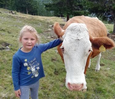 Grosskirchheim Apartment | Apartment Lacklhof