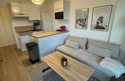 Saint-Cyprien Plage Apartment | Apartment Les Goëlettes in Saint Cyprien Plage, sea view with swimming pool - 4 Pers