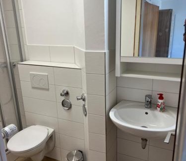 St. Peter im Schwarzwald Apartment | Apartment Malerkarle zentral