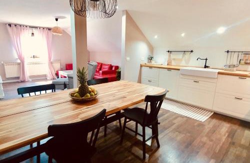 Dreznik Grad Apartment | Apartment Murva