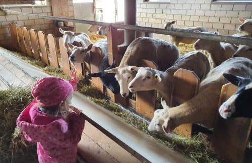 Hergiswil bei Willisau Apartment | Apartment Ober-Tiefenbühl