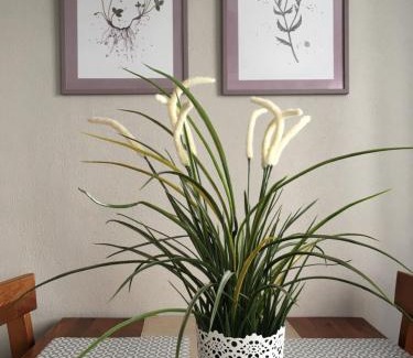 Erfurt Old Town Apartment | Apartment Pension Sternchen