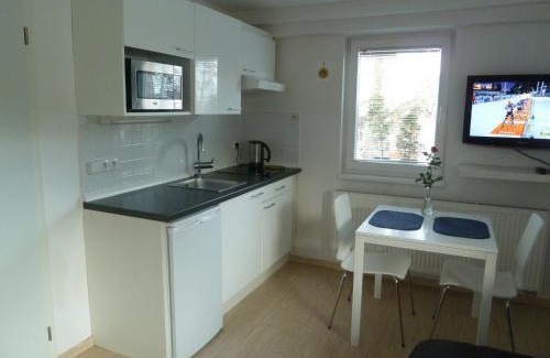 Vrchlabi Apartment | Apartment Red Tree