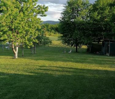 Dreznik Grad House | Apartment & Rooms Arija