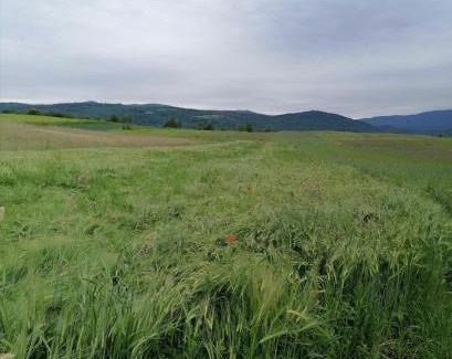 Dreznik Grad House | Apartment & Rooms Arija