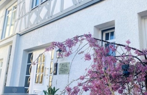 Hoehr-Grenzhausen Apartment | Apartment Rose with 35 sqm - in the Château d'Esprit