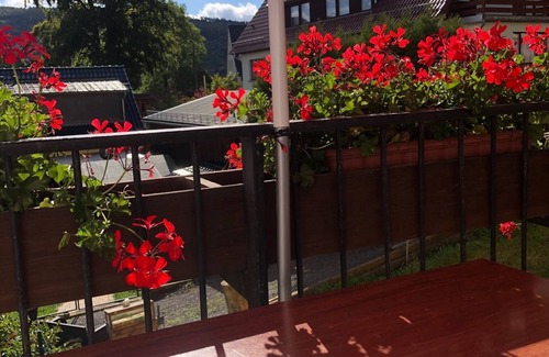 Schwarzburg Condo | Apartment Schwarzatal