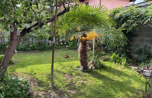 Panagyurishte Apartment | APARTMENT SIYANA