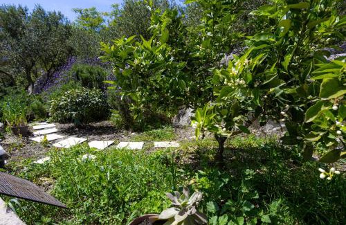 Ploce Apartment | Apartment Skalin - Modern Comfort with a Local Touch