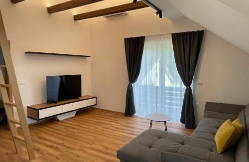 Kranj Apartment | Apartment Tanja 3 Bedroom, Mountain View & Family Stay
