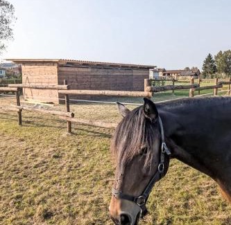 Castell'Alfero Apartment | Apartment Tenuta Beatrice by Interhome