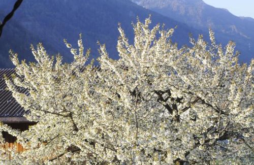 Prutz Apartment | Apartment Turala