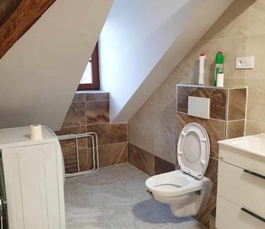 Ostrov Apartment | Apartment U Černého Orla