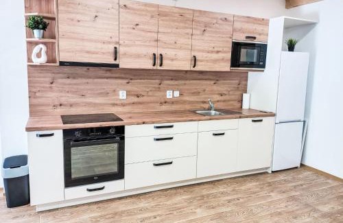 Desna Apartment | Apartment U Dzina-4 by Interhome