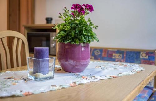 Spinga Apartment | Apartment Waldesruh