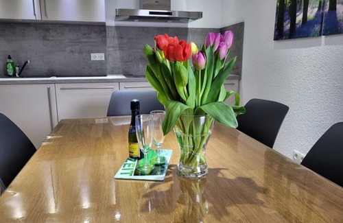 Waldbreitbach Apartment | Apartment Wiedliebe Deluxe - Apartment "Wiedliebe Deluxe"