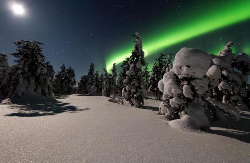 Ranua Apartment | Apartment with sauna in Ranua on the lake