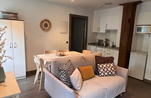 Ituren Apartment | Apartment 'Ziripot' with Mountain View, Wi-Fi and Air Conditioning