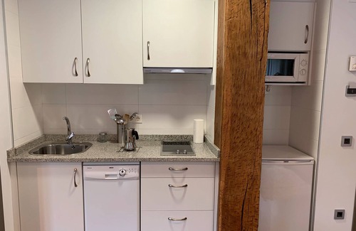 Ituren Apartment | Apartment 'Ziripot' with Mountain View, Wi-Fi and Air Conditioning