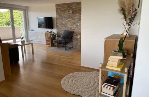 Krsko Apartment | Apartment9B with amazing view