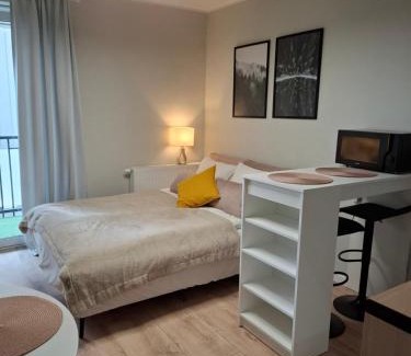 Nowe Miasto Apartment | Apartments Poznań City lux
