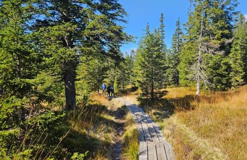 Pohorje Apartment | APARTMENTS ROGLA JURGOVO - Ski in Ski out