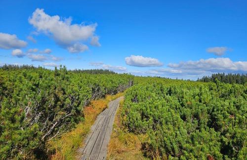 Pohorje Apartment | APARTMENTS ROGLA JURGOVO - Ski in Ski out