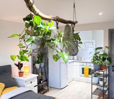 Walsoken Apartment | Aplanty Studio in the Orchard