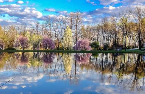 Hamburg Other | Appalachian Camping Resort Cottage 1