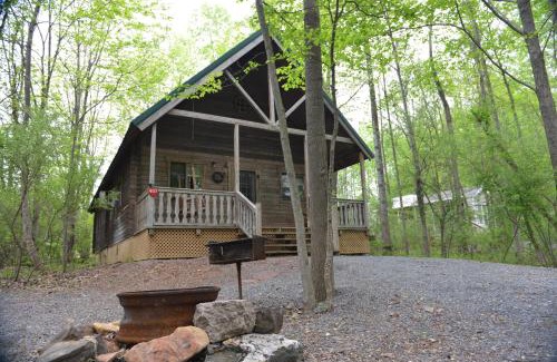 Hamburg Other | Appalachian Camping Resort Log Home 6