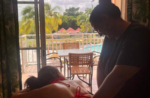 Gros Raisins Apartment | Appart avec piscine et vue mer - TIC