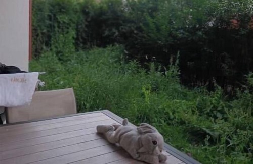 Les Pavillons-sous-Bois Apartment | Appart Elégant JO Ctre Ville Transport Proche CDG