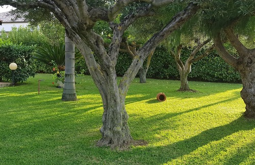 Ricadi Apartment | Appart. Graziella Capo Vaticano-Tropea