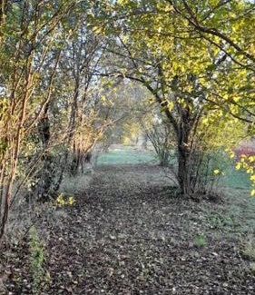 Reggio nell'Emilia Apartment | Appartamento Bosco in Città