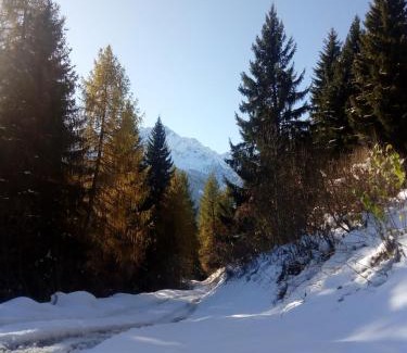Passo del Tonale Apartment | Appartamento Cristallo di Ghiaccio