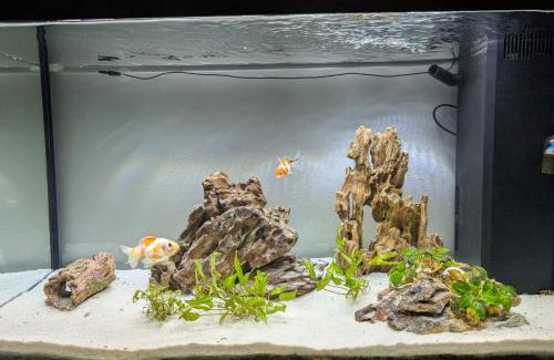 Corsico Apartment | Appartamento Dei Gigli - Corsico vicino a Milano