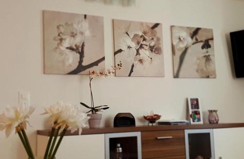 Airolo Apartment | Appartamento via Luina