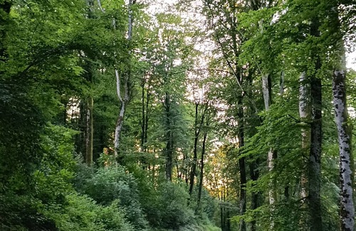 Chateau-Chinon Apartment | Appartement " O Calvaire "