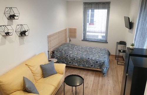 Raon-l'Etape Apartment | Appartement agréable en plein cœur de ville