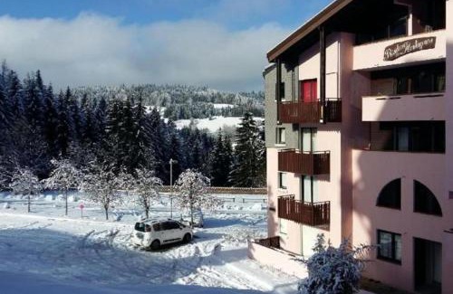 Hirmentaz Apartment | Appartement avec balcon vue montagne à Bellevaux