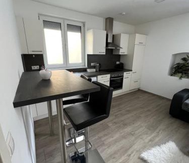 Laxenburg Apartment | Appartement beim Schloss