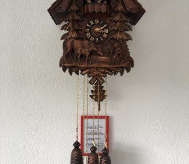 Rickenbach Apartment | Appartement Bergwaerts